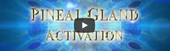 Pineal Gland Activation